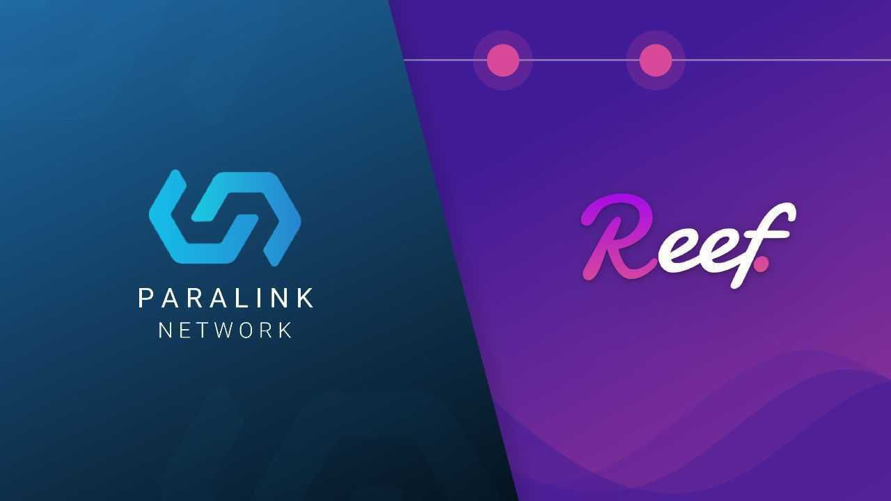 Paralink Network Announces Strategic Partnership with Reef Finance