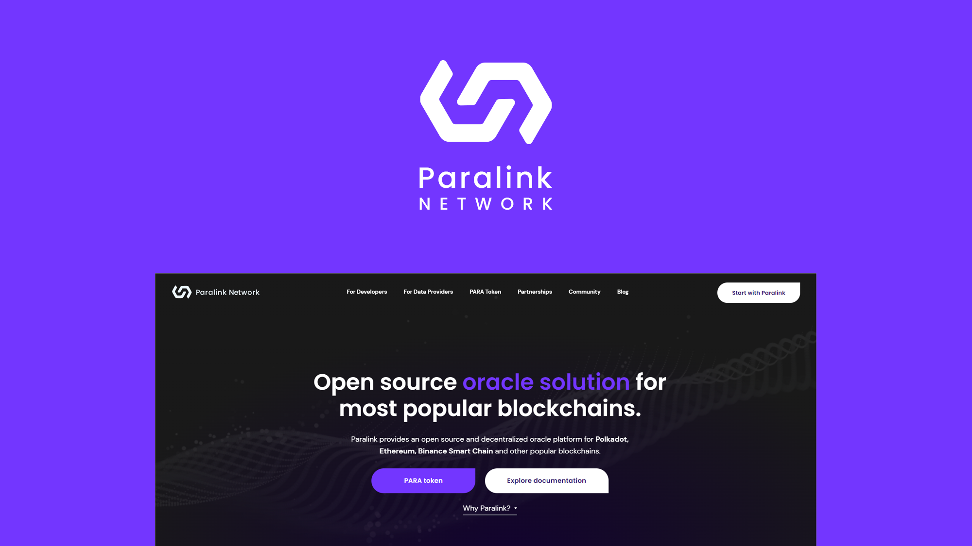 New Paralink Network website!